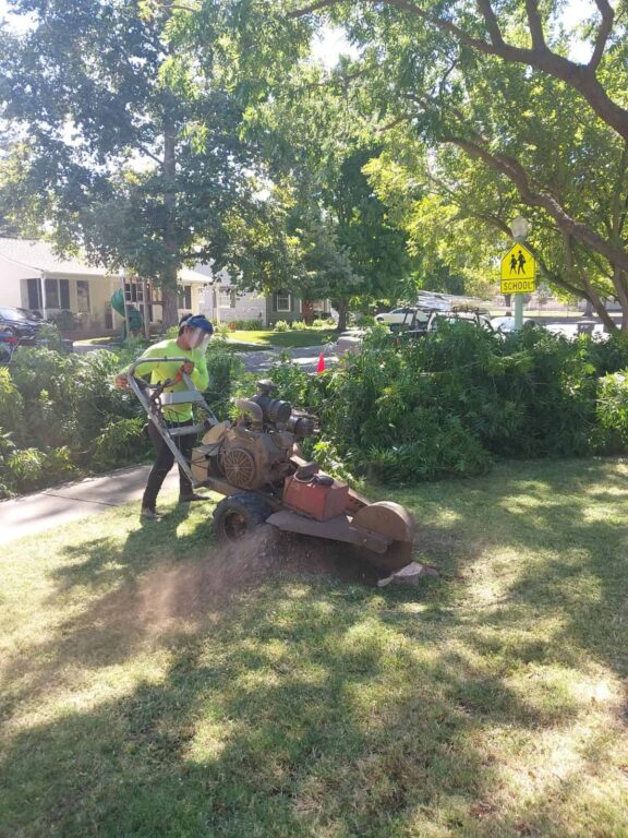 tree stump grinding